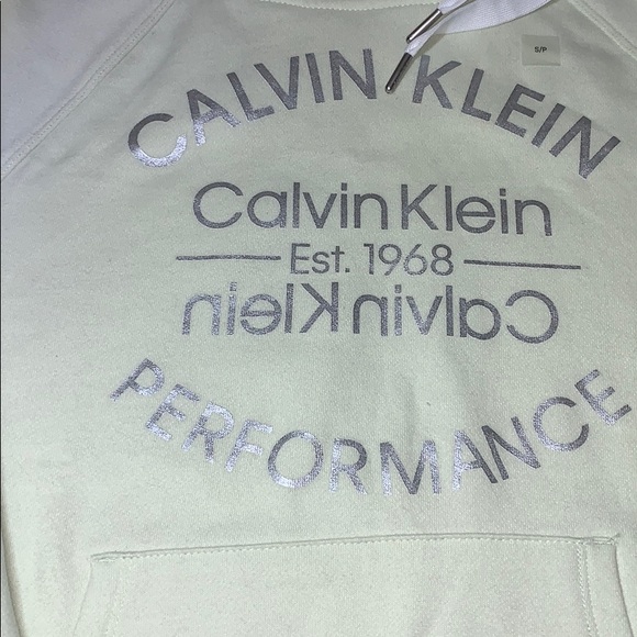 Performance Metallic Logo Drawstring Raglan Hoodie - Picture 5 of 9